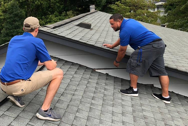 Roof Inspector