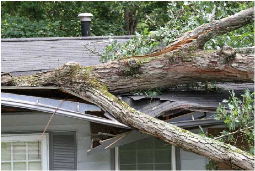 Emergency Roof Repair