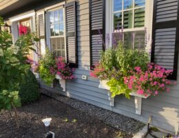 Replacement Window Project in Holden MA